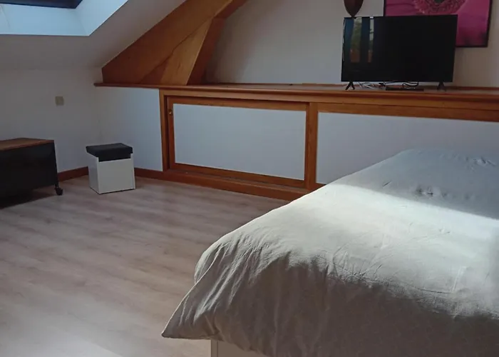 招待所 De La Dhuys *